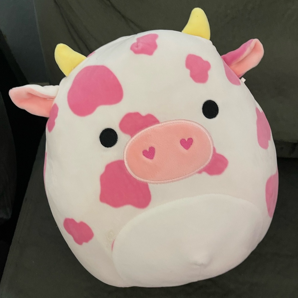evangelica squishmallow